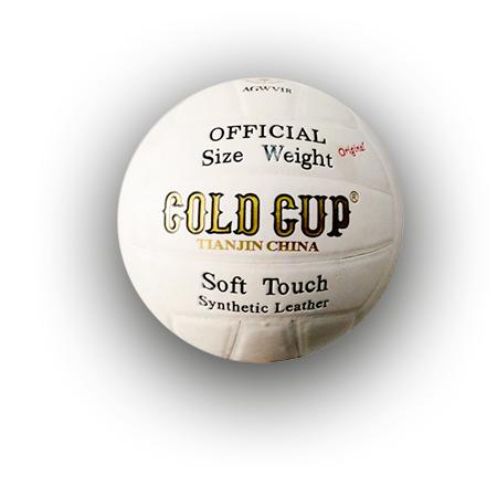 VOLLEY BALL - GOLD CUP