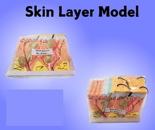 LAB EQUIPMENT - THREE DIMENSIONAL SKIN