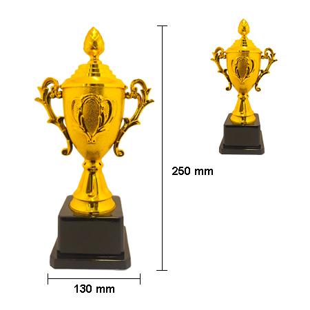 TROPHY - 25CM