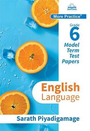 MORE PRACTICE - ENGLISH LANGUAGE GRADE 6 MODEL TERM TEST PAPER