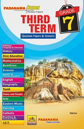 GRADE 7 THIRD TERM QUESTION PAPERS & ANSWERS