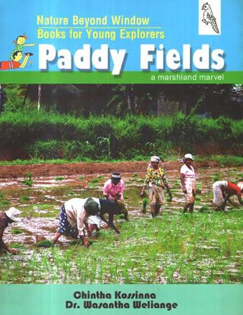NATURE BEYOND WINDOW BOOKS FOR YOUNG EXPLORERS : PADDY FIELDS
